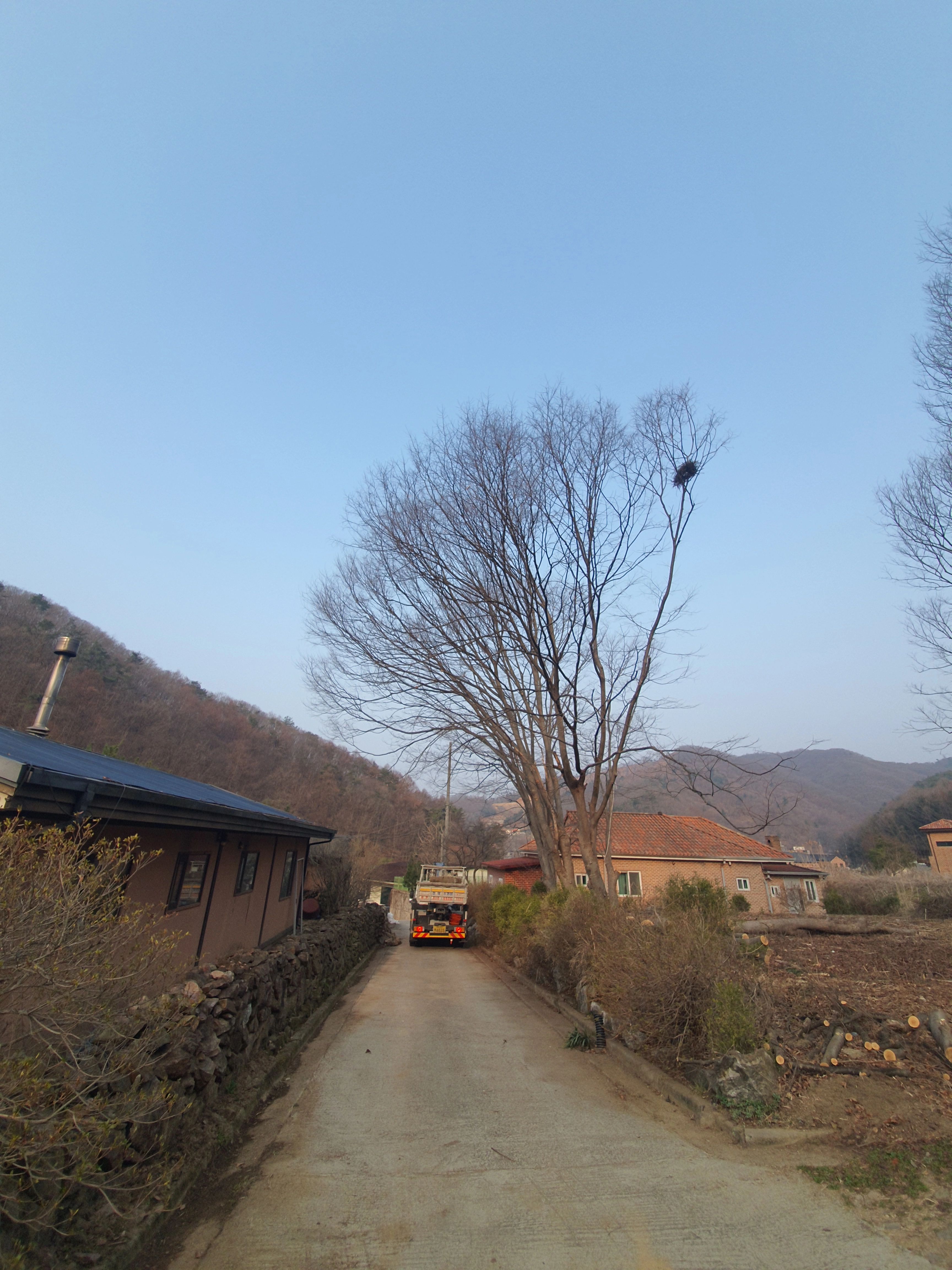 수목벌채 작업 전 현장 2 · 으뜸종합건설