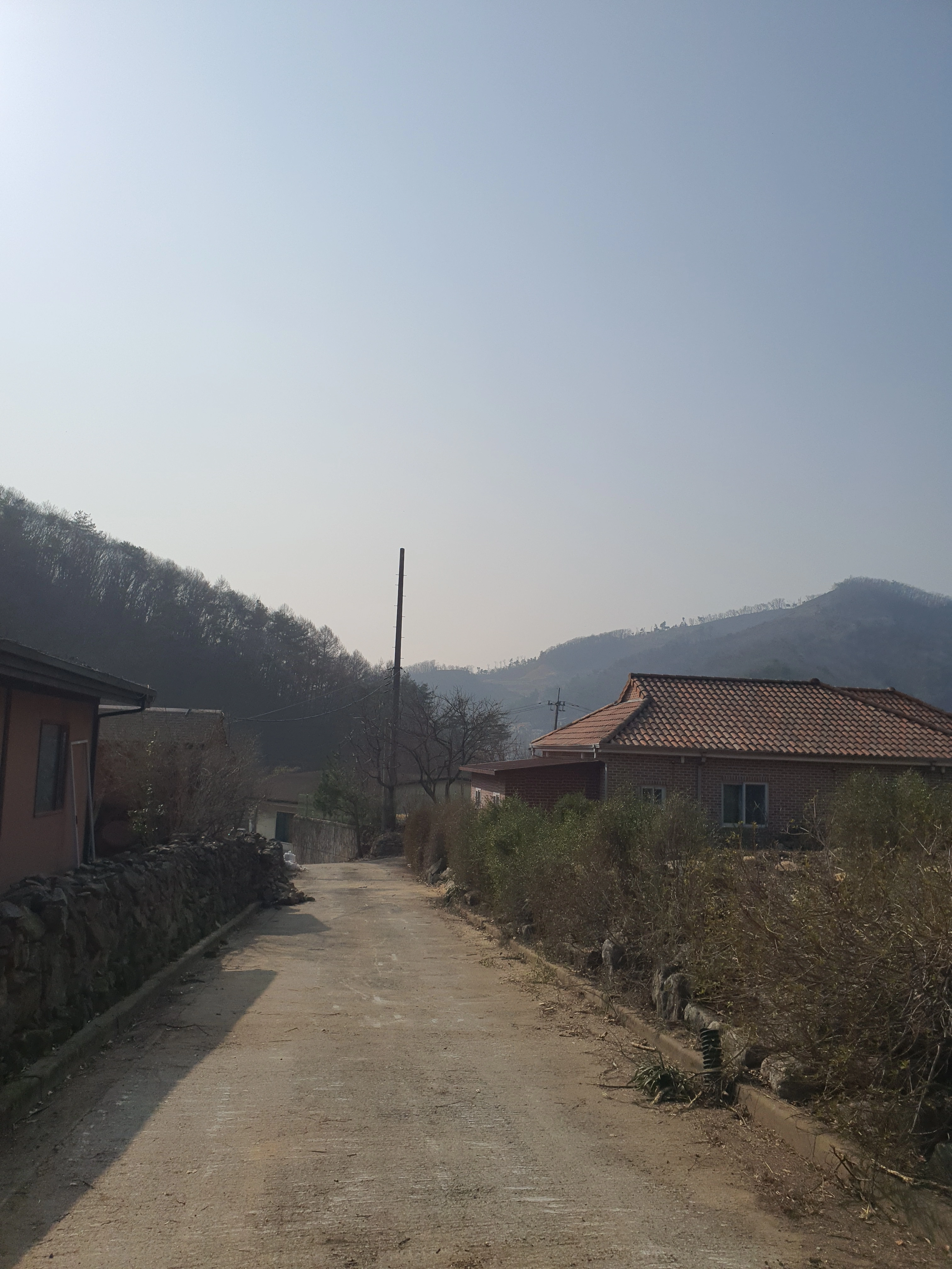 수목벌채 현장 — 로프 유도 안전 처리 · 으뜸종합건설