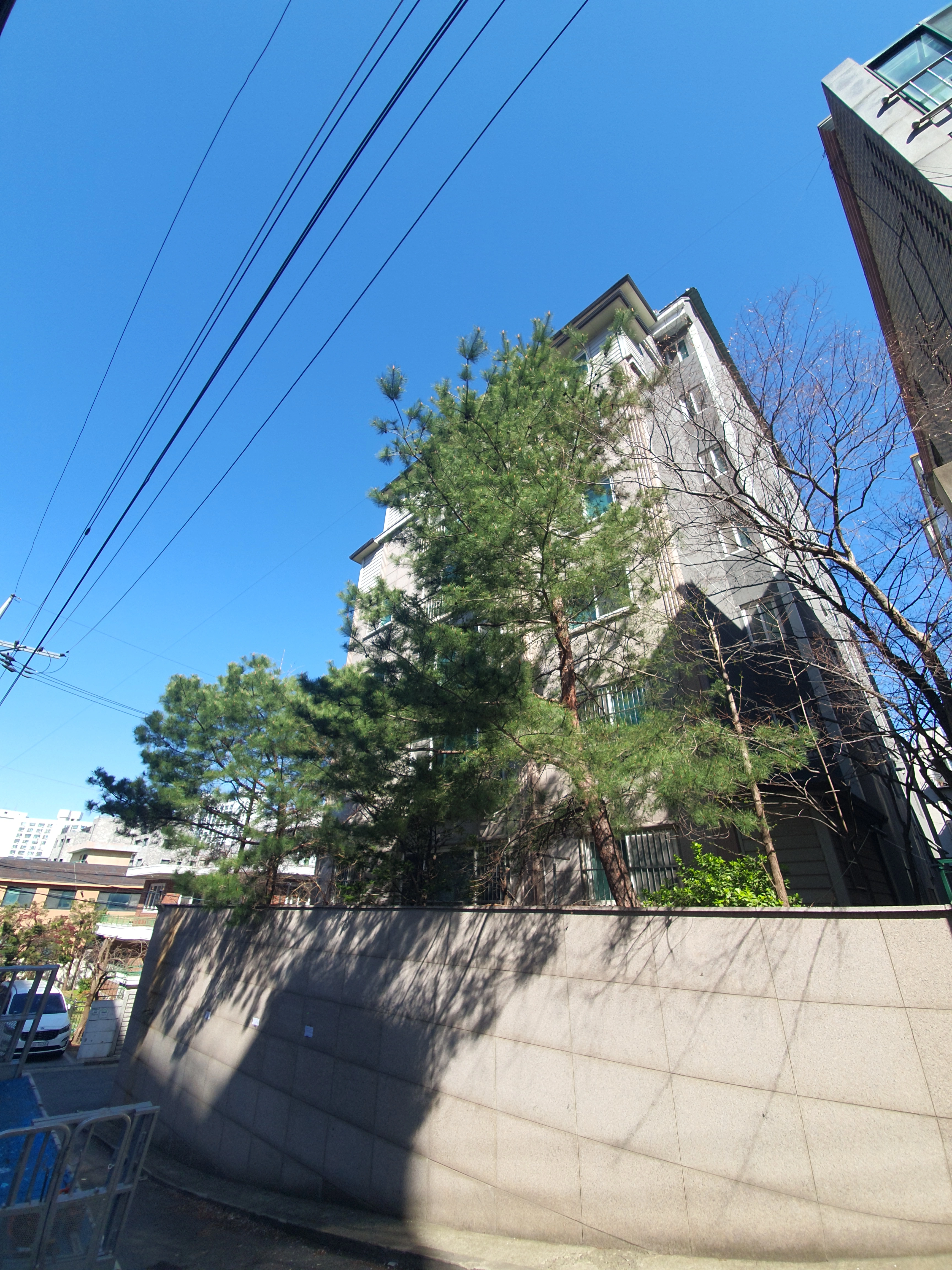 수목제거 작업 전 현장 1 · 으뜸종합건설