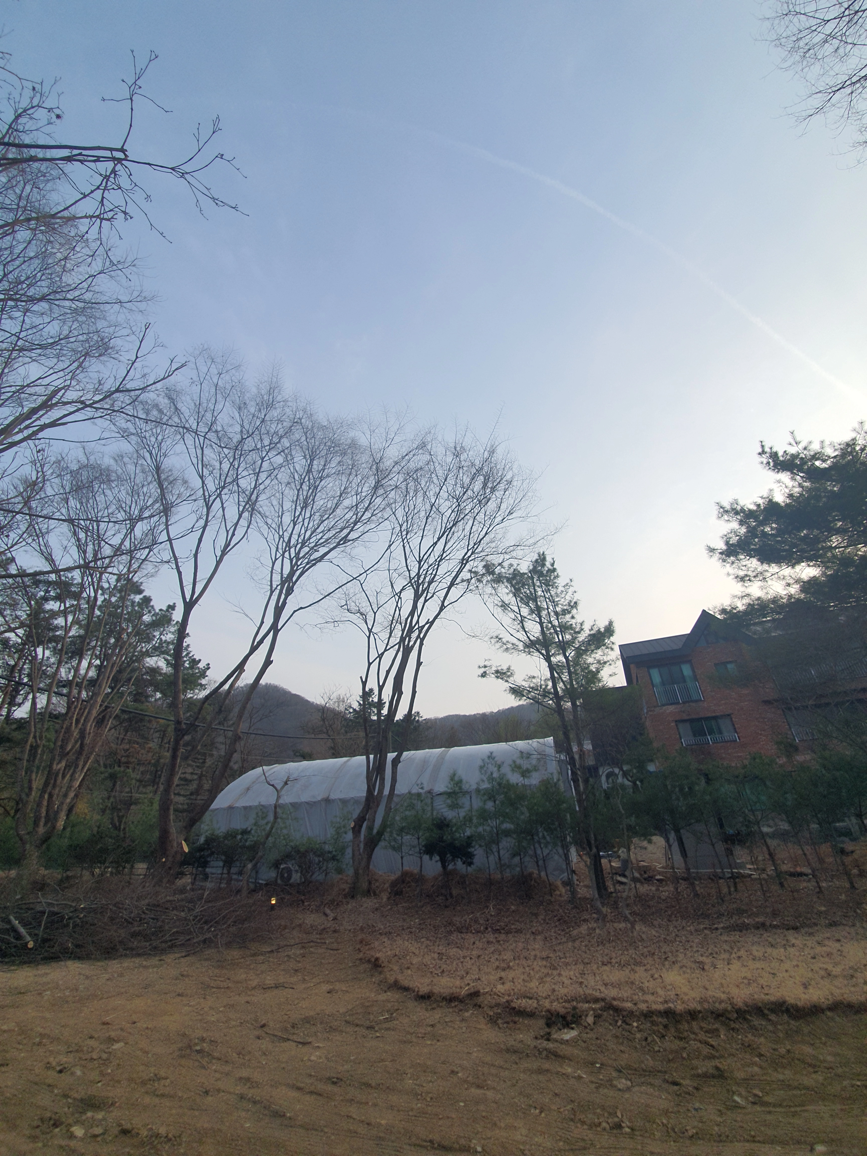 수목벌채 시공사례 — 수목제거 · 으뜸종합건설
