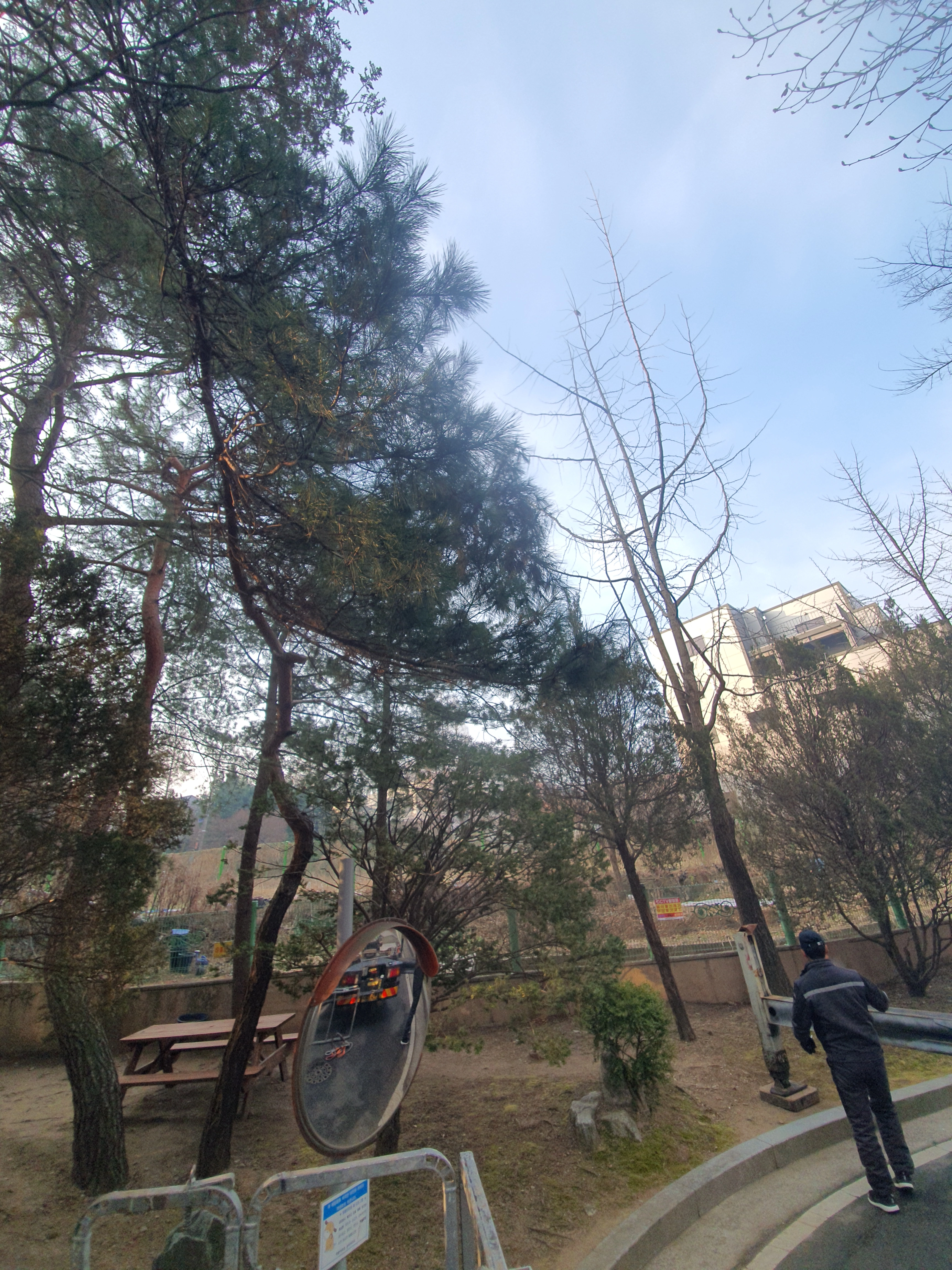 수목정비 작업 전 현장 4 · 으뜸종합건설