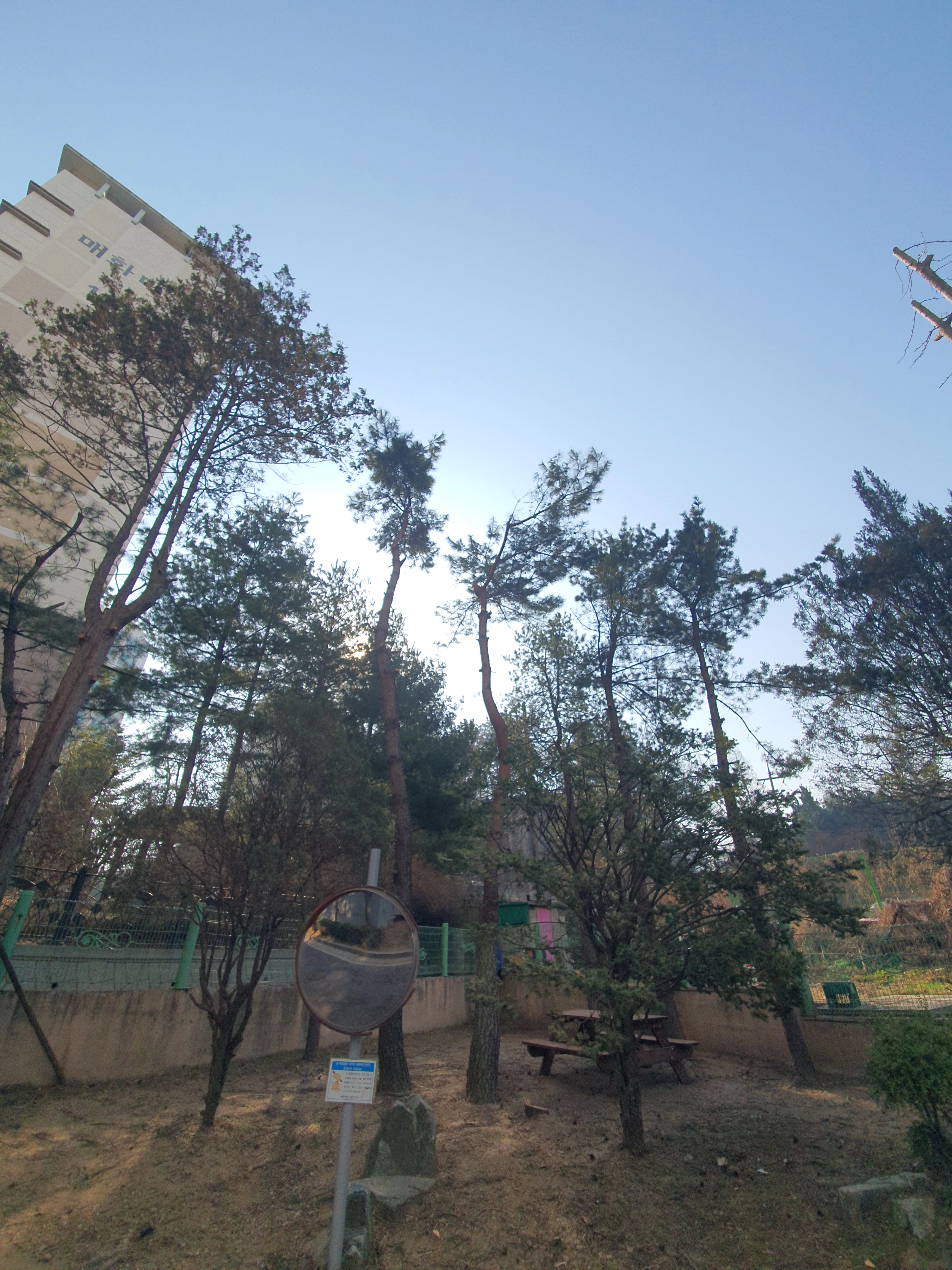 수목정비 작업 후 현장 4 · 으뜸종합건설